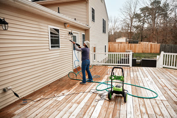 Best House Pressure Washing  in Lincoln Park, MI