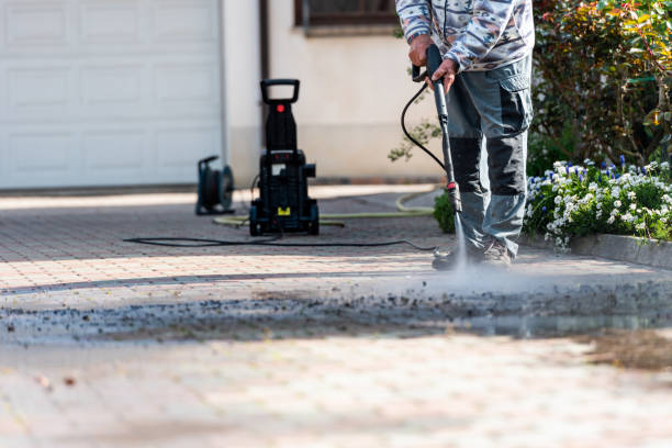 Best Pressure Washing Estimates  in Lincoln Park, MI