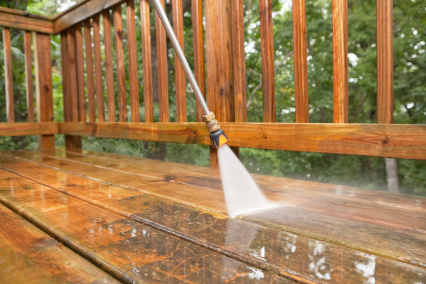 Best Residential Pressure Washing Services  in Lincoln Park, MI